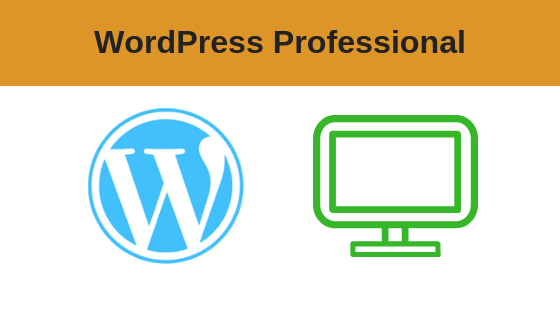 WordPress Professional